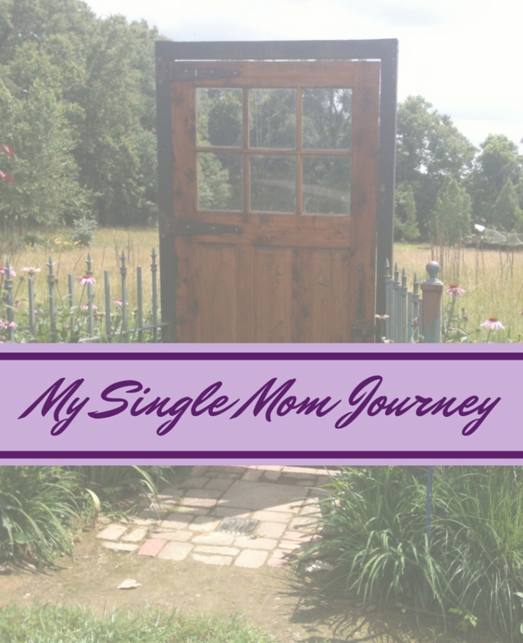 Single Mom Journey